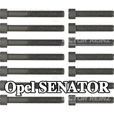 REINZ مجموعة البراغي, رأس الأسطوانة M12 — Opel Senator