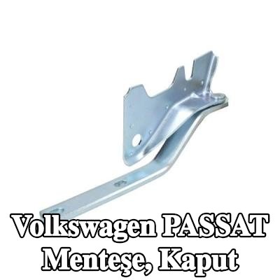 BLIC Menteşe, kaput — 1990 Volkswagen Passat