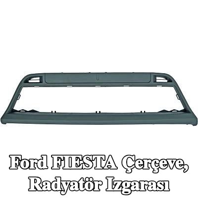 DIEDERICHS Çerçeve, radyatör ızgarası — Ford Fiesta