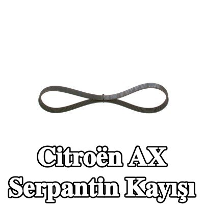 BOSCH Serpantin kayışı 698mm, Number of ribs: 5 — 1990 Citroën Ax