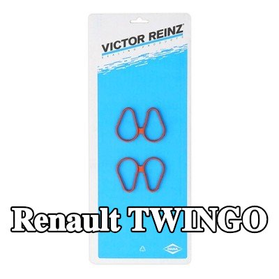 REINZ مجموعة حشيات، مشعب السحب — 2012 Renault Twingo