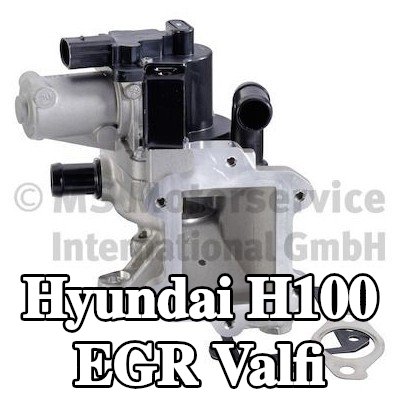 PIERBURG Contalı/sızdırmazlık elemanlı EGR valfi — Hyundai H100
