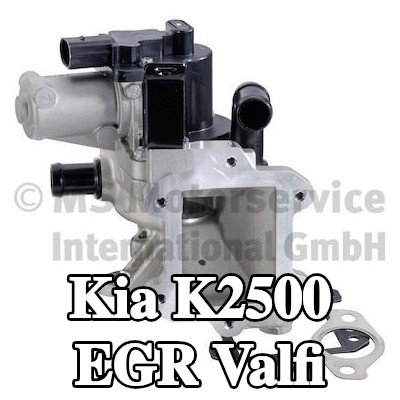 PIERBURG Contalı/sızdırmazlık elemanlı EGR valfi — Kia K2500