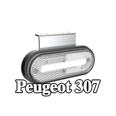 AMiO مصباح الإشارة الجانبي — Peugeot 307
