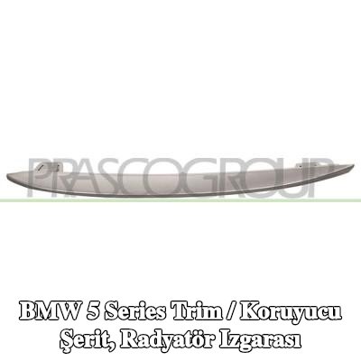 PRASCO Trim / koruyucu şerit, radyatör ızgarası Sol — BMW 5 Series