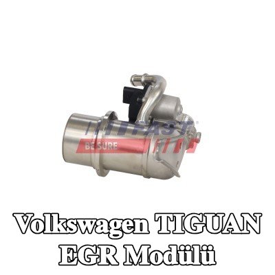 FAST EGR Modülü — Volkswagen Tiguan