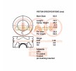 IAP QUALITY PARTS Piston segmanlı piston — 2008 Hyundai Tucson (4)