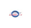 FAST Conta / Contası, yağ çubuğu — Ford Tourneo Connect (1)