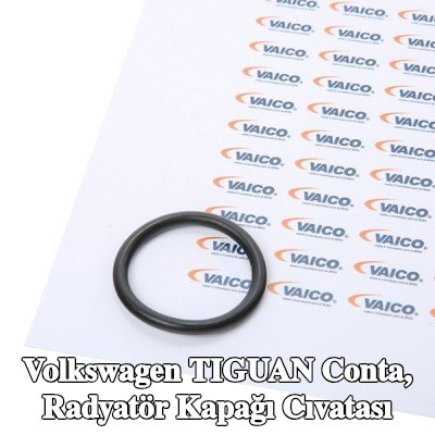 VAICO Conta, radyatör kapağı cıvatası Orijinal VAICO Kalitesi — Volkswagen Tiguan