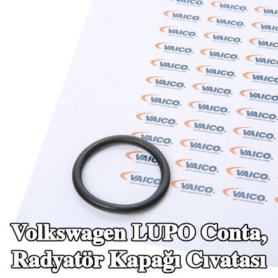 VAICO Conta, radyatör kapağı cıvatası Orijinal VAICO Kalitesi — Volkswagen Lupo