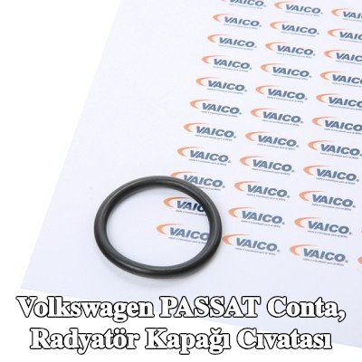 VAICO Conta, radyatör kapağı cıvatası Orijinal VAICO Kalitesi — 2012 Volkswagen Passat