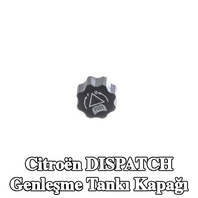 MAHLE Genleşme tankı kapağı — 1997 Citroën Dispatch