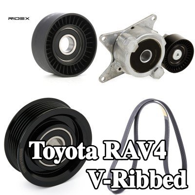 RIDEX مجموعة أحزمة V-Ribbed — Toyota Rav4