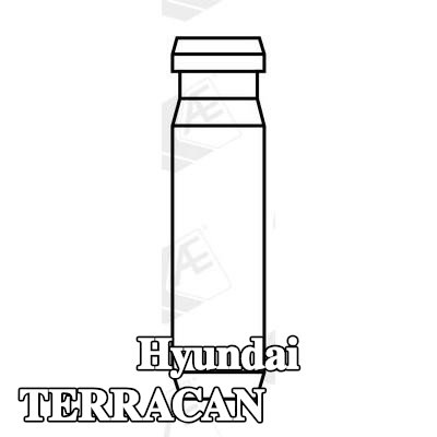 AE أدلة الصمامات — Hyundai Terracan