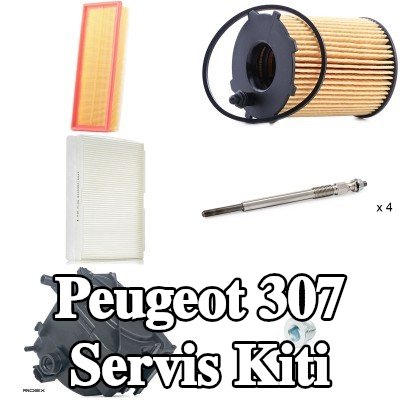 RIDEX Servis kiti — 2009 Peugeot 307
