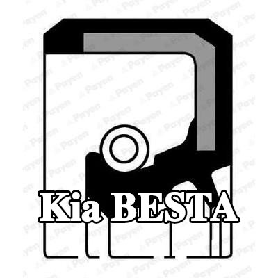 PAYEN حشية عمود الكامات — 1995 Kia Besta