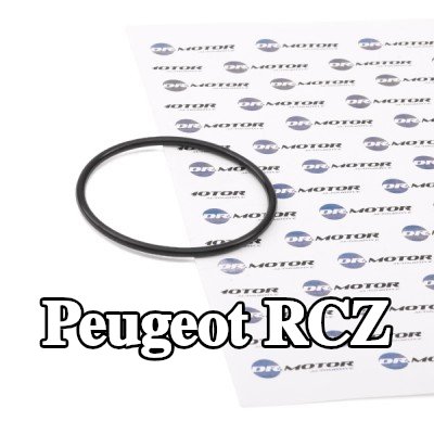 DR.MOTOR AUTOMOTIVE حشية، مضخة تفريغ — Peugeot Rcz