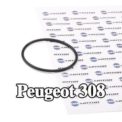 DR.MOTOR AUTOMOTIVE حشية، مضخة تفريغ — 2012 Peugeot 308