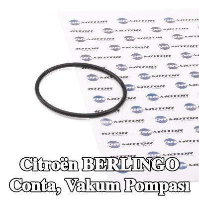 DR.MOTOR AUTOMOTIVE Conta, vakum pompası — 2012 Citroën Berlingo