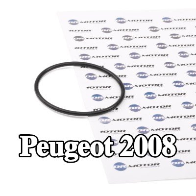 DR.MOTOR AUTOMOTIVE حشية، مضخة تفريغ — Peugeot 2008
