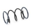 EIBACH Süspansiyon kiti, coil springs Set of 2 springs, Pro-Kit — Peugeot 206 (3)