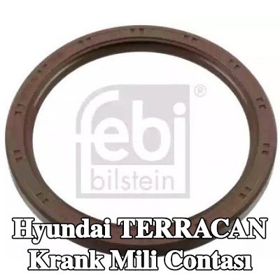 FEBI BILSTEIN Krank mili contası — Hyundai Terracan