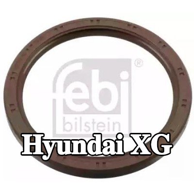 FEBI BILSTEIN حشية العمود المرفقي — Hyundai Xg