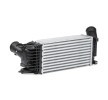 RIDEX Intercooler — Peugeot 407 (3)