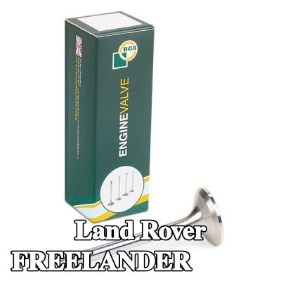 BGA صمام العادم — 2002 Land Rover Freelander