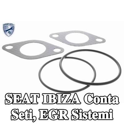 VEMO Conta seti, EGR sistemi — 2002 SEAT Ibiza