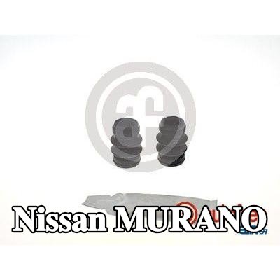 AUTOFREN SEINSA منفاخ، دليل مقياس المكابح — Nissan Murano