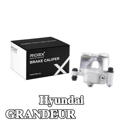 RIDEX مكابح الفرامل للمحور الأمامي, المحور الأمامي الأيمن — 1995 Hyundai Grandeur
