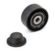 RIDEX Saptırma / kılavuz kasnağı, V-ribbed belt Ø: 60mm, kapaklı — Opel Corsa (2)