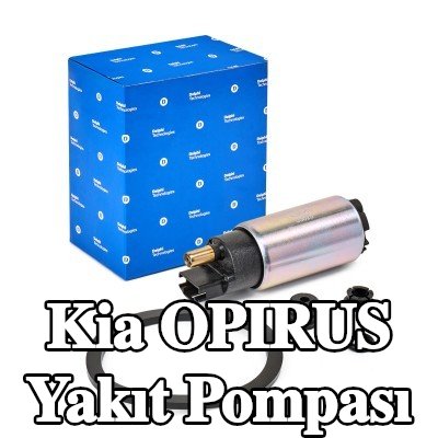 DELPHI Contalı/sızdırmazlık elemanlı yakıt pompası — 2003 Kia Opirus