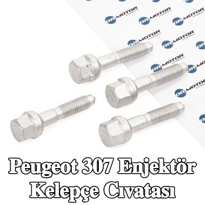 DR.MOTOR AUTOMOTIVE Enjektör kelepçe cıvatası — 2002 Peugeot 307