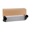 RIDEX Intercooler — BMW Z4 (1)