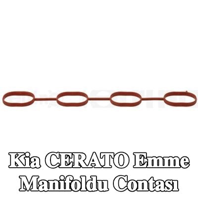 ELRING Emme manifoldu contası FPM (florür kauçuk) — 2016 Kia Cerato