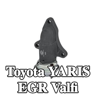 HELLA Contalı/sızdırmazlık elemanlı EGR valfi — 2000 Toyota Yaris