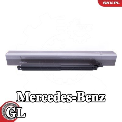 ESEN SKV محرك كهربائي، الباب الخلفي — 2009 Mercedes-Benz Gl