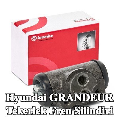 BREMBO Tekerlek Fren Silindiri Temel — Hyundai Grandeur