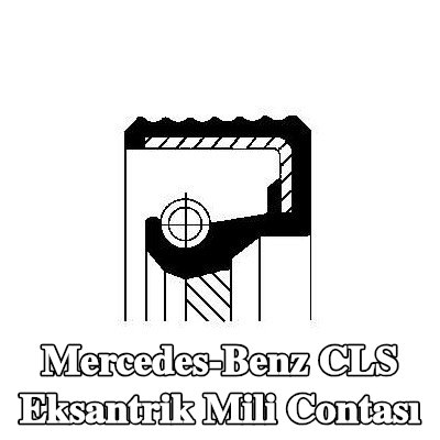 CORTECO Motor eksantrik mili contası — Mercedes-Benz Cls