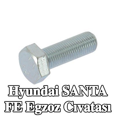 WALKER Egzoz cıvatası — 2008 Hyundai Santa Fe