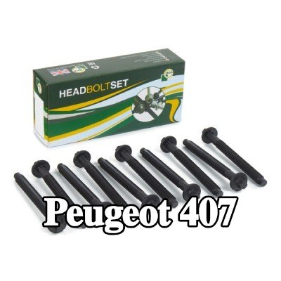 BGA مجموعة البراغي, رأس الأسطوانة M12 — Peugeot 407
