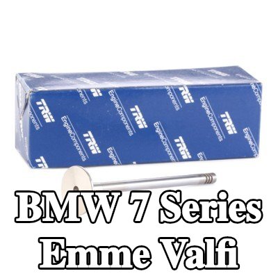 TRW Engine Component Emme valfi Krom kaplı valf gövdesi, Sertleştirilmiş valf sapı ucu — 2002 BMW 7 Series