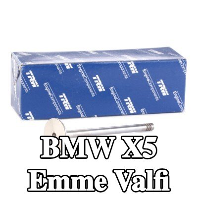 TRW Engine Component Emme valfi Krom kaplı valf gövdesi, Sertleştirilmiş valf sapı ucu — 2002 BMW X5