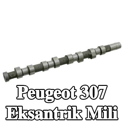 FEBI BILSTEIN Eksantrik Mili — Peugeot 307
