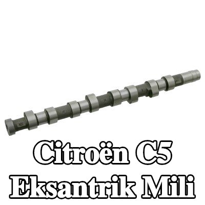FEBI BILSTEIN Eksantrik Mili — 2002 Citroën C5