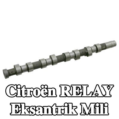 FEBI BILSTEIN Eksantrik Mili — 2003 Citroën Relay