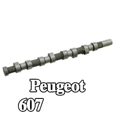 FEBI BILSTEIN عمود الكامات — 2002 Peugeot 607