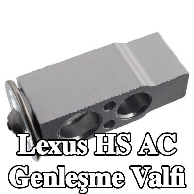 FEBI BILSTEIN AC genleşme valfi — Lexus Hs